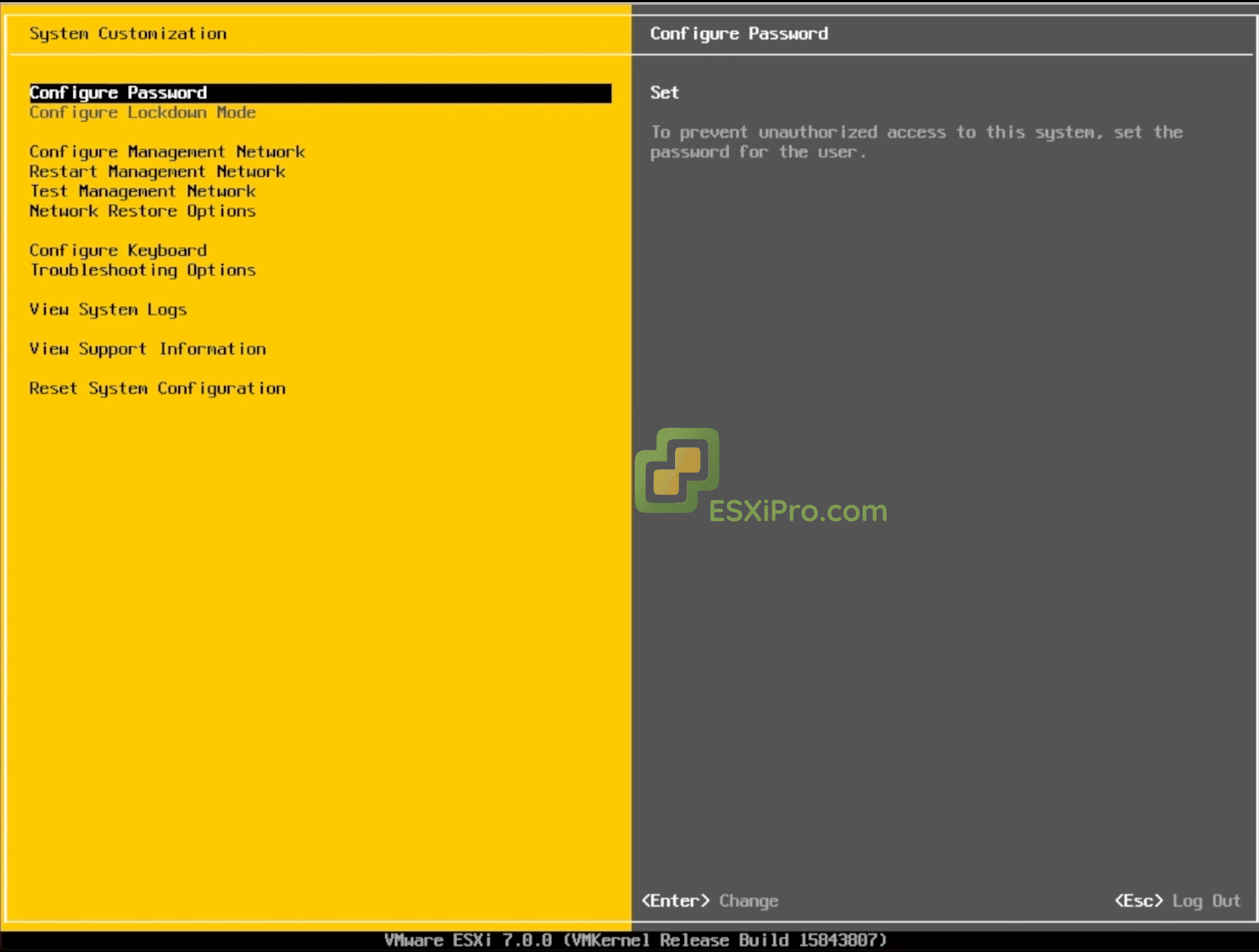 Configure Management Network